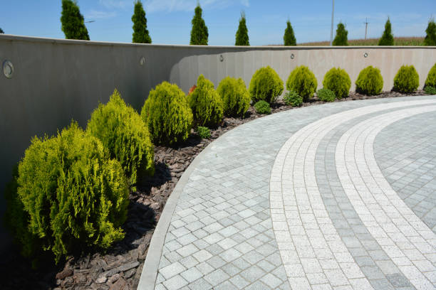 Best Custom Driveway Pavers  in Los Luceros, NM